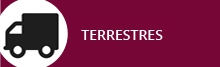 Terrestre